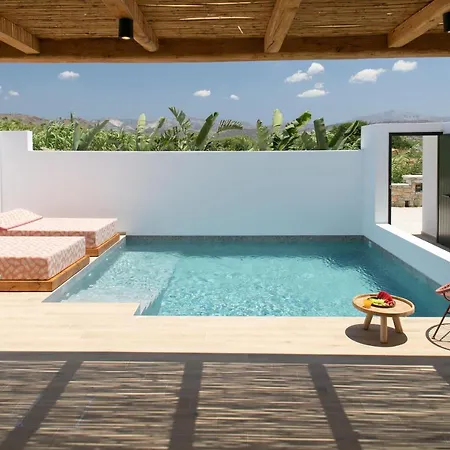 Iphimedeia Luxury Hotel & Suites Hotell Naxos City